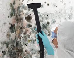 Best Mold Documentation for Insurance Claims  in Wilkesboro, NC